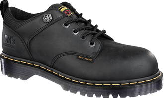 Women's Dr Martens Ashridge Work Shoe | R13974001